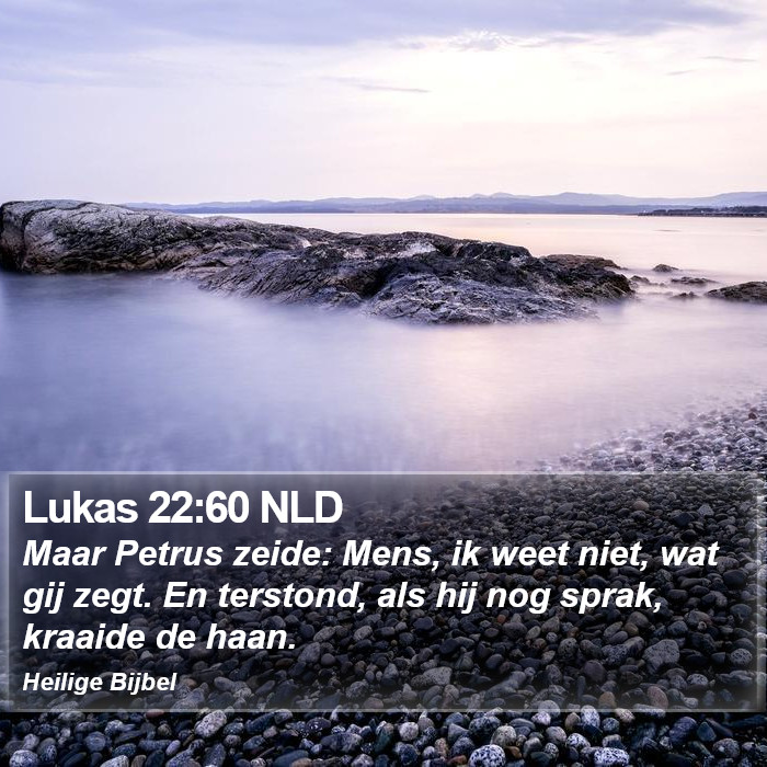 Lukas 22:60 NLD Bible Study