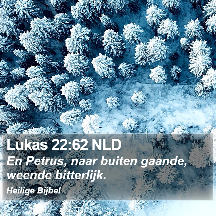 Lukas 22:62 NLD Bible Study