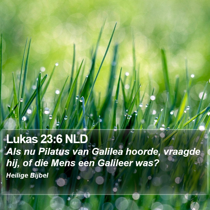 Lukas 23:6 NLD Bible Study