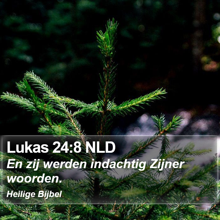 Lukas 24:8 NLD Bible Study