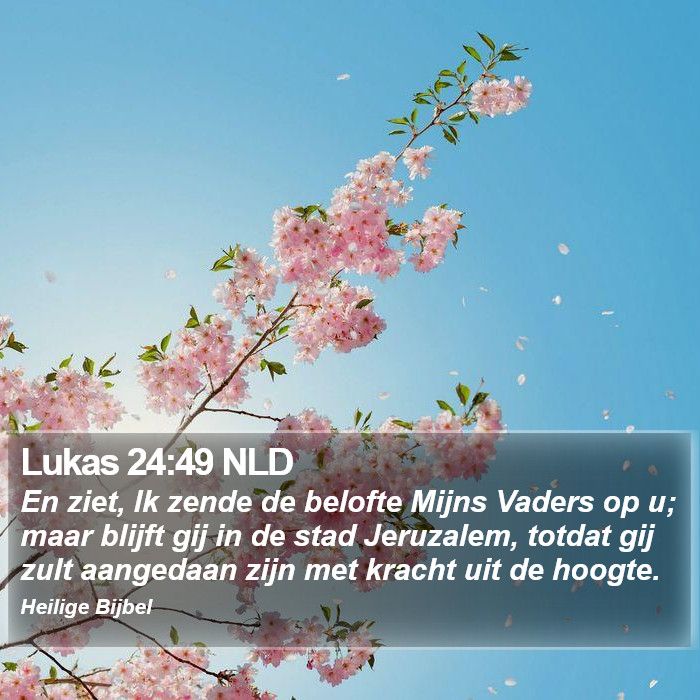 Lukas 24:49 NLD Bible Study