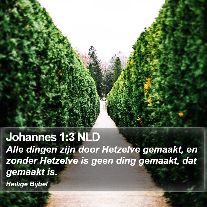 Johannes 1:3 NLD Bible Study