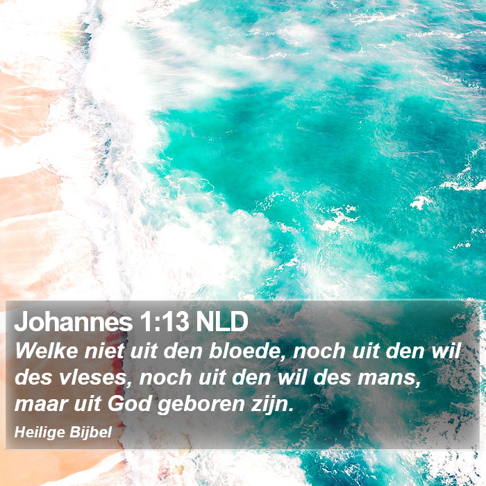 Johannes 1:13 NLD Bible Study