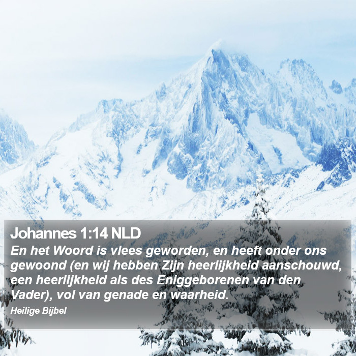 Johannes 1:14 NLD Bible Study