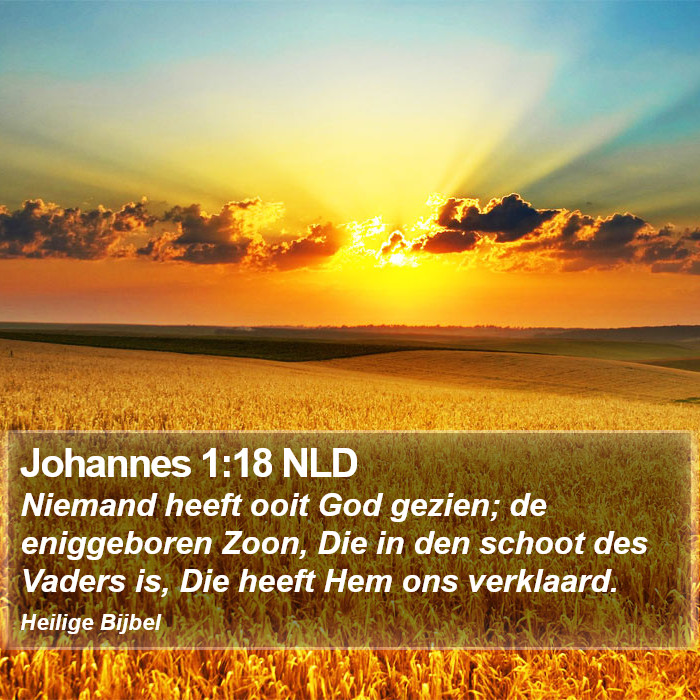 Johannes 1:18 NLD Bible Study