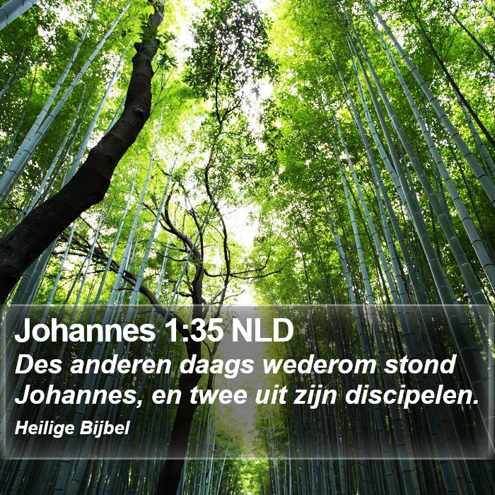 Johannes 1:35 NLD Bible Study