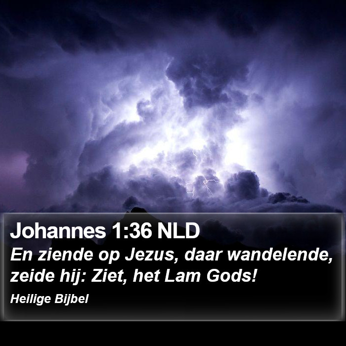 Johannes 1:36 NLD Bible Study