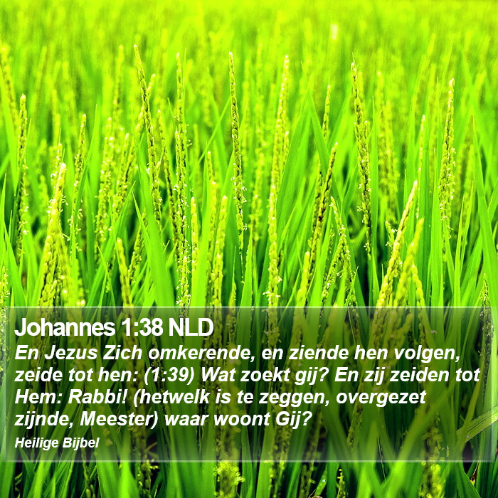 Johannes 1:38 NLD Bible Study