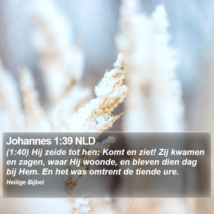 Johannes 1:39 NLD Bible Study