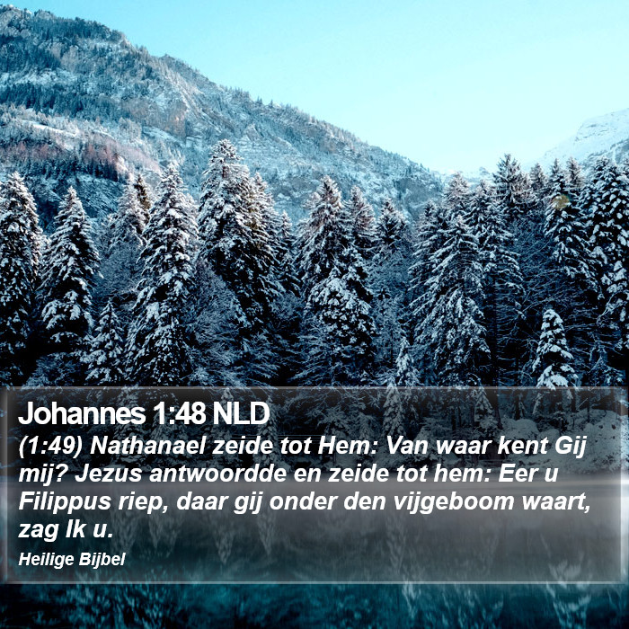 Johannes 1:48 NLD Bible Study