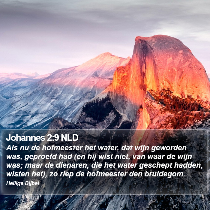 Johannes 2:9 NLD Bible Study