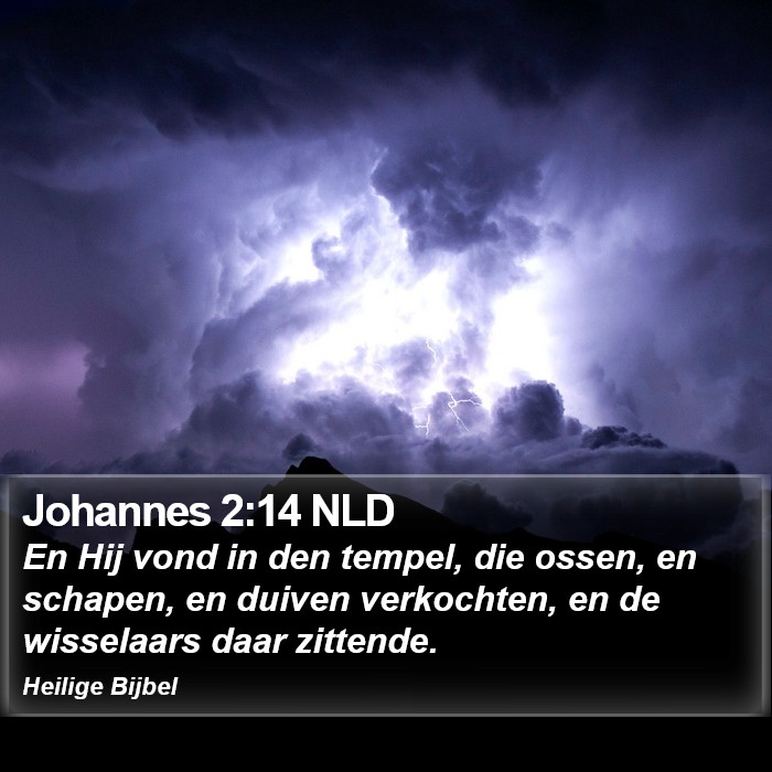 Johannes 2:14 NLD Bible Study