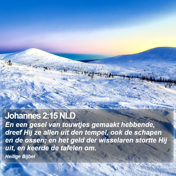 Johannes 2:15 NLD Bible Study