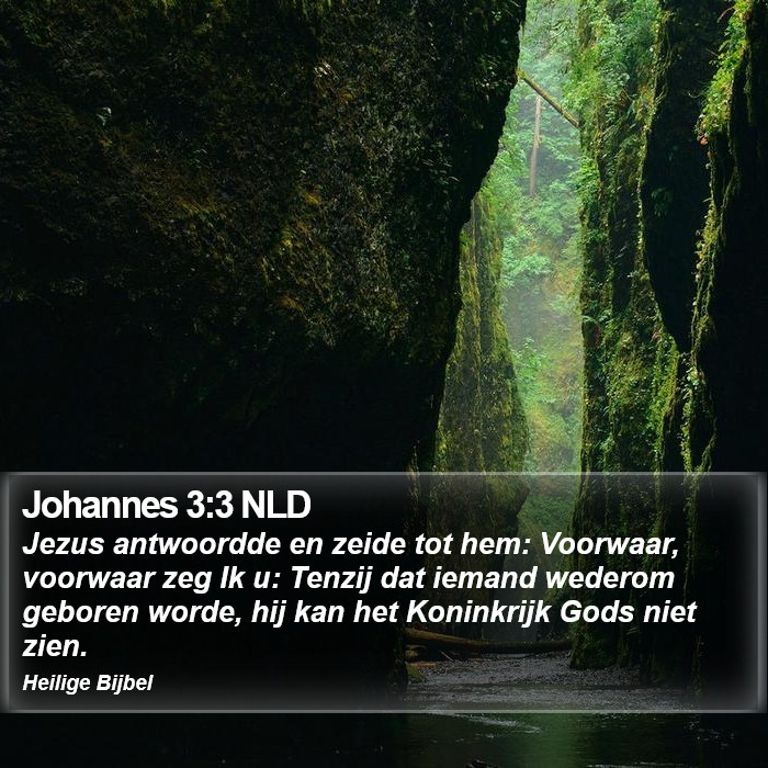 Johannes 3:3 NLD Bible Study