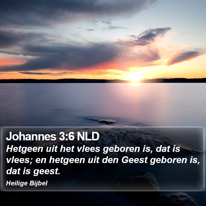 Johannes 3:6 NLD Bible Study