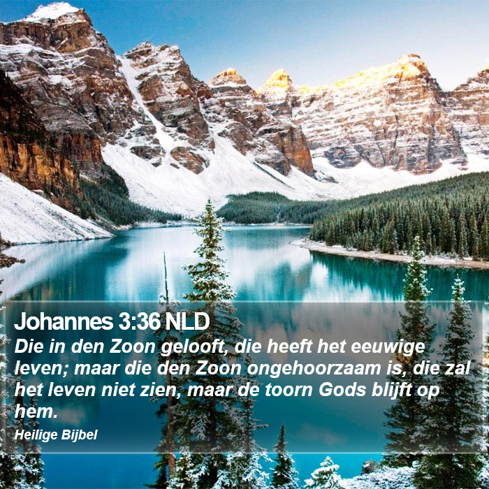 Johannes 3:36 NLD Bible Study