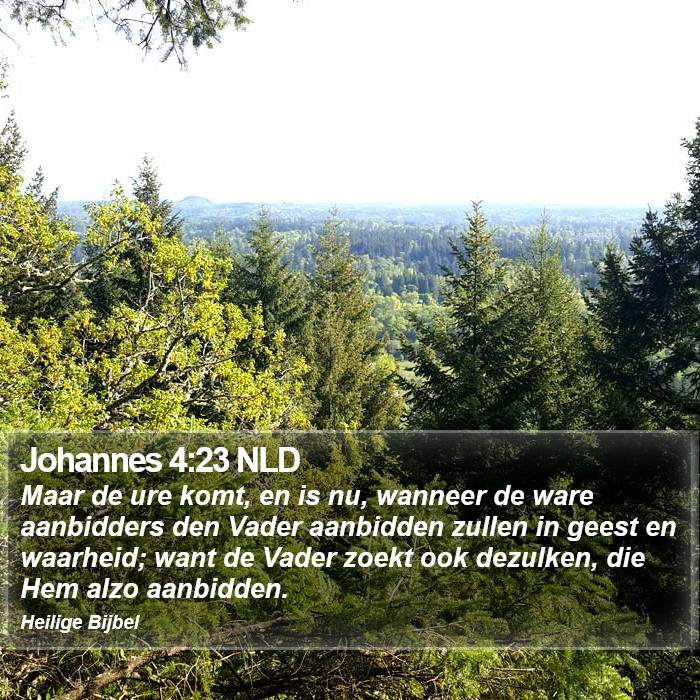 Johannes 4:23 NLD Bible Study