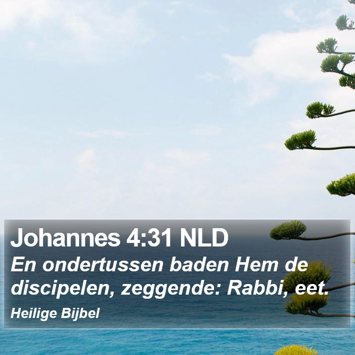 Johannes 4:31 NLD Bible Study