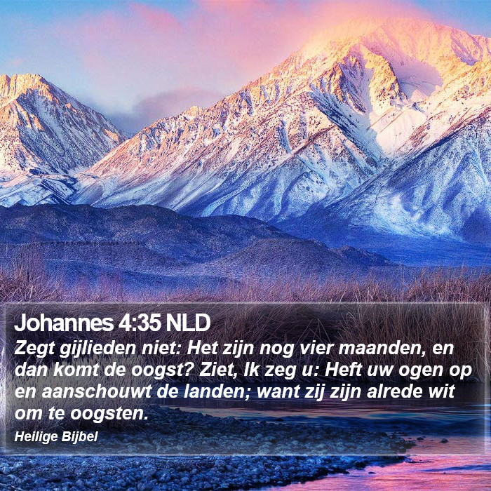 Johannes 4:35 NLD Bible Study