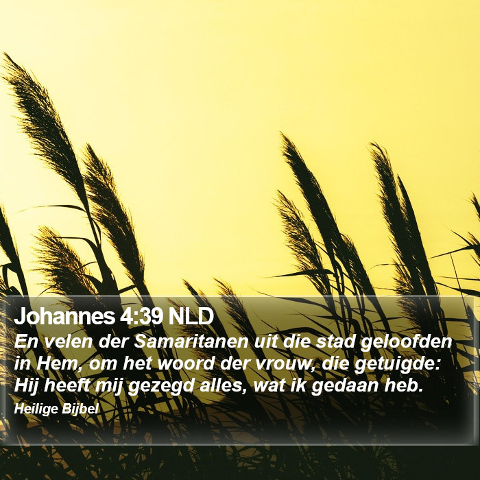 Johannes 4:39 NLD Bible Study