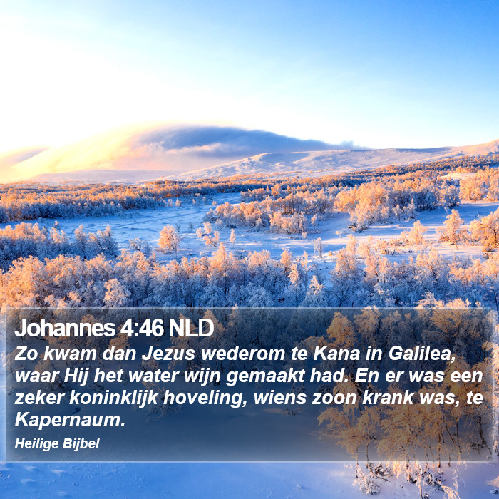 Johannes 4:46 NLD Bible Study