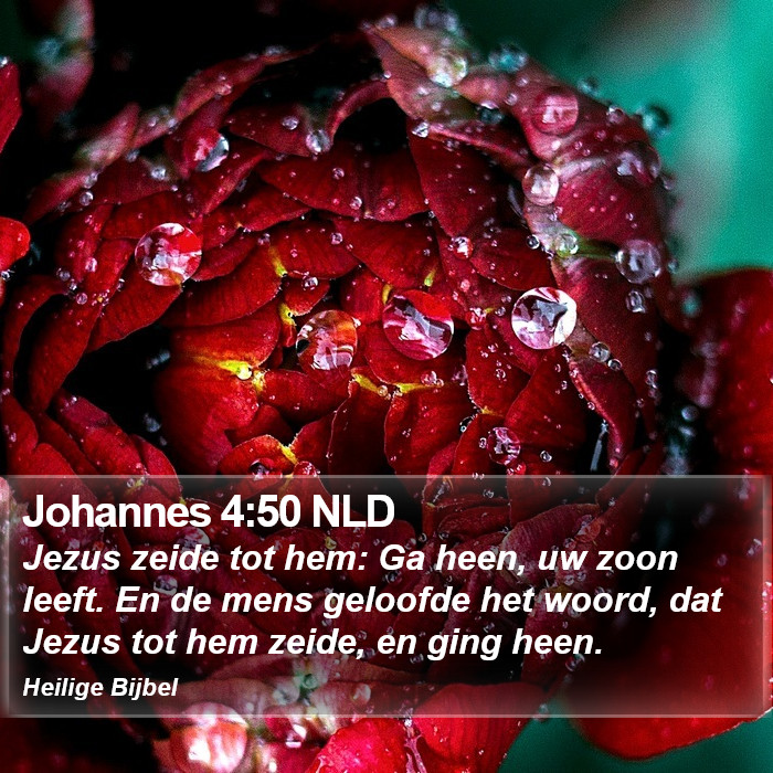 Johannes 4:50 NLD Bible Study