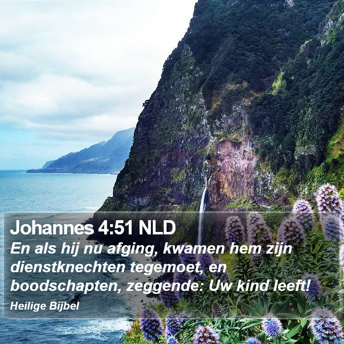 Johannes 4:51 NLD Bible Study