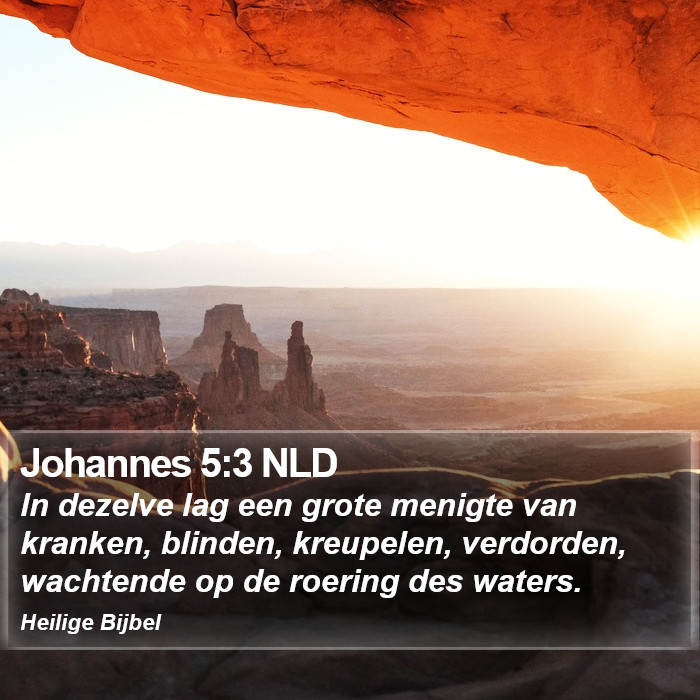 Johannes 5:3 NLD Bible Study
