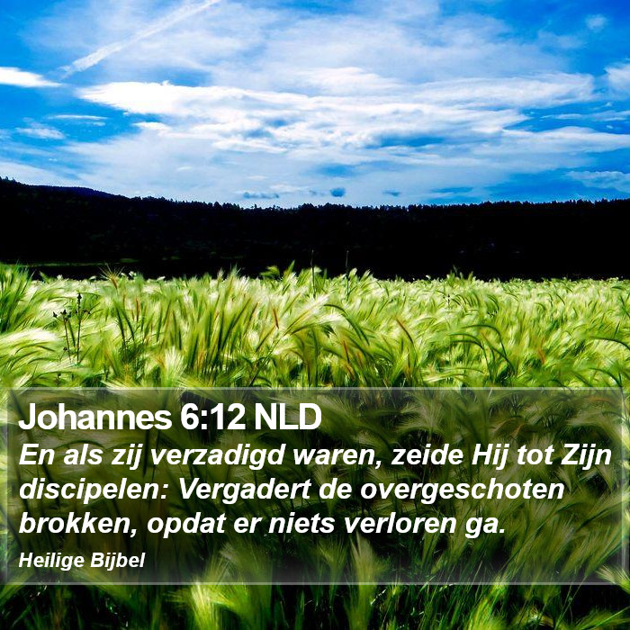 Johannes 6:12 NLD Bible Study