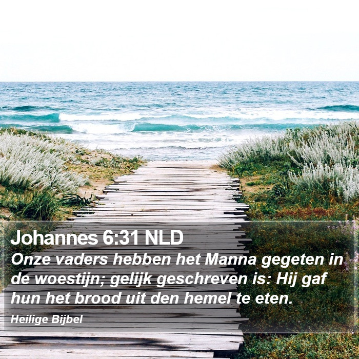 Johannes 6:31 NLD Bible Study