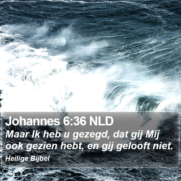 Johannes 6:36 NLD Bible Study