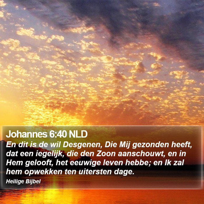 Johannes 6:40 NLD Bible Study