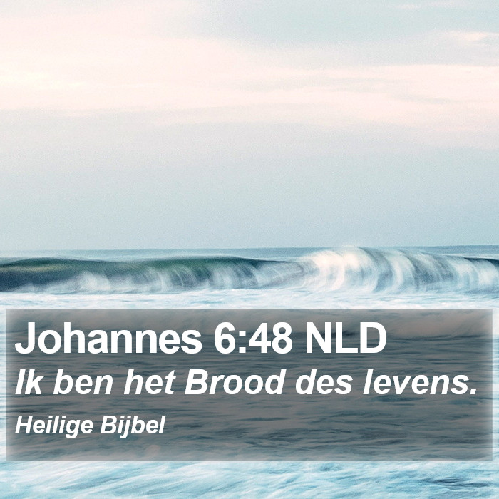 Johannes 6:48 NLD Bible Study