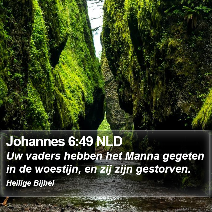 Johannes 6:49 NLD Bible Study