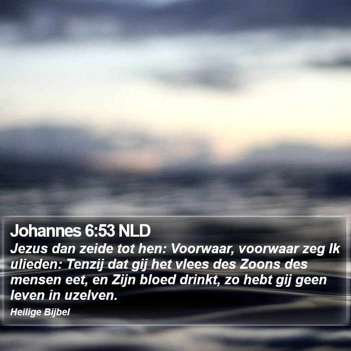 Johannes 6:53 NLD Bible Study