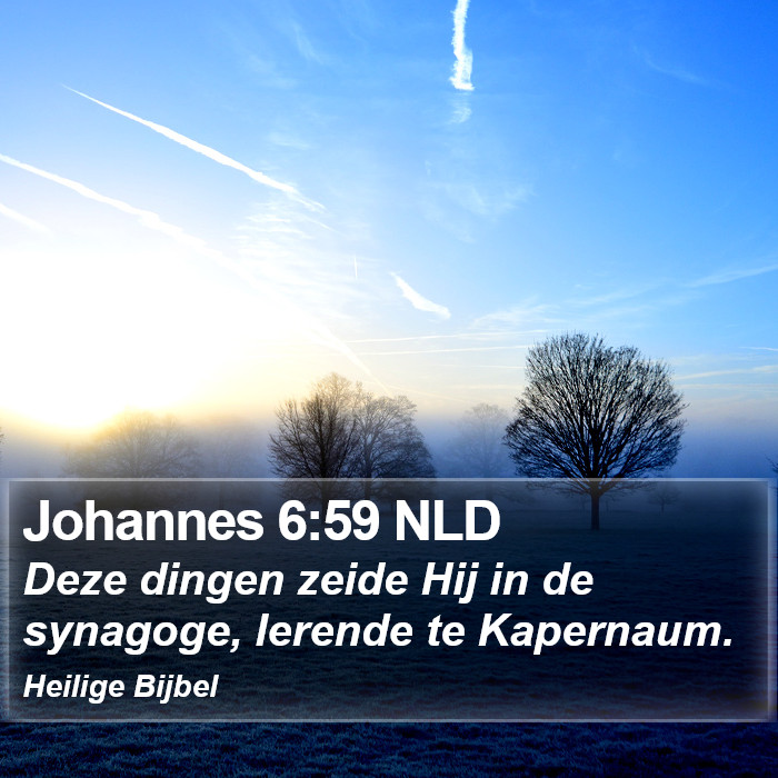 Johannes 6:59 NLD Bible Study