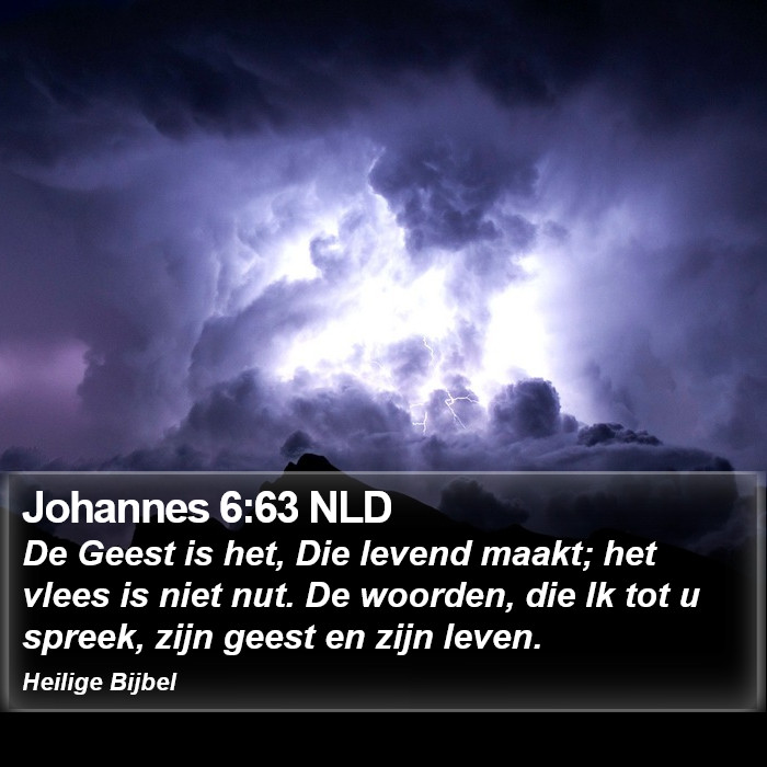 Johannes 6:63 NLD Bible Study