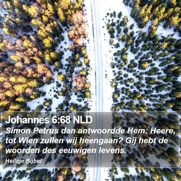 Johannes 6:68 NLD Bible Study