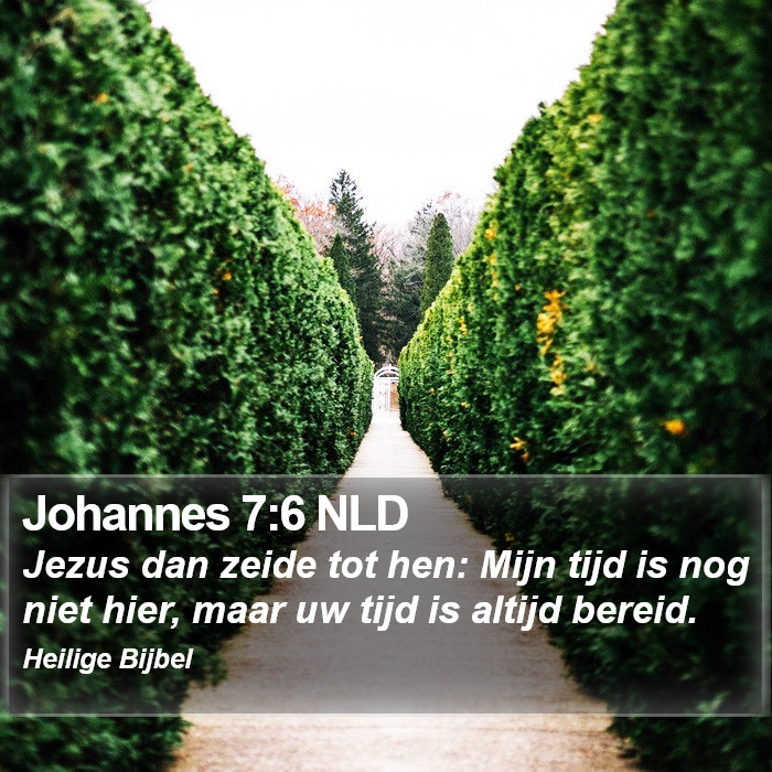 Johannes 7:6 NLD Bible Study