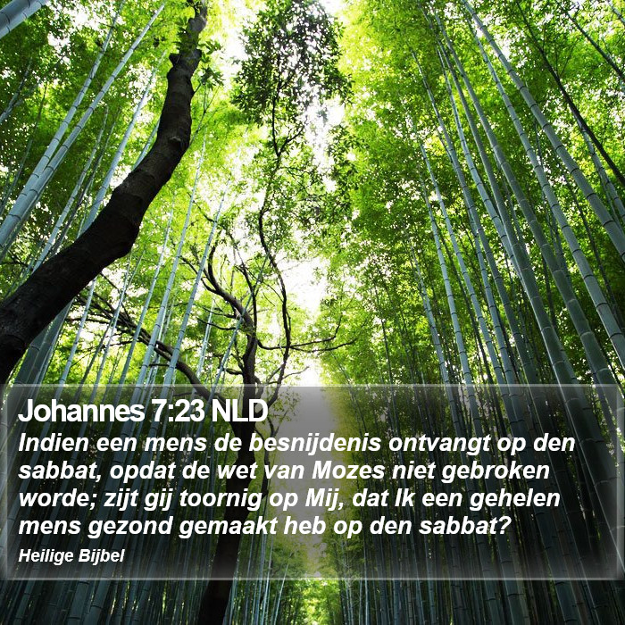 Johannes 7:23 NLD Bible Study