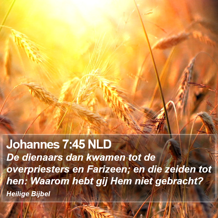 Johannes 7:45 NLD Bible Study