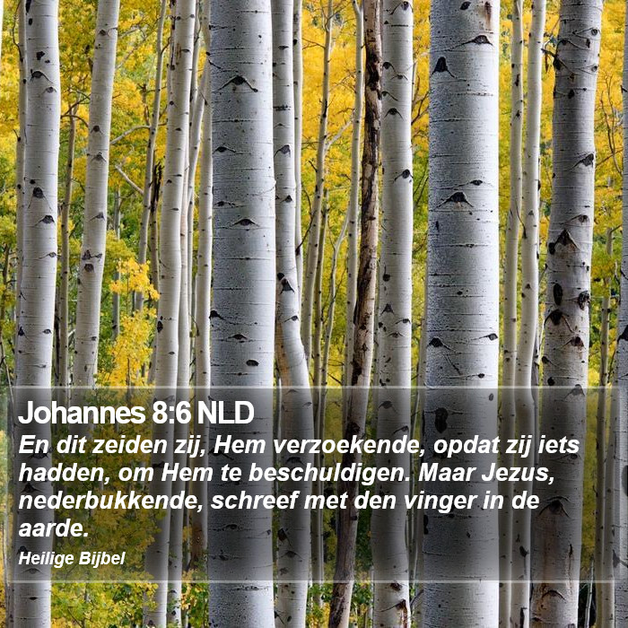 Johannes 8:6 NLD Bible Study