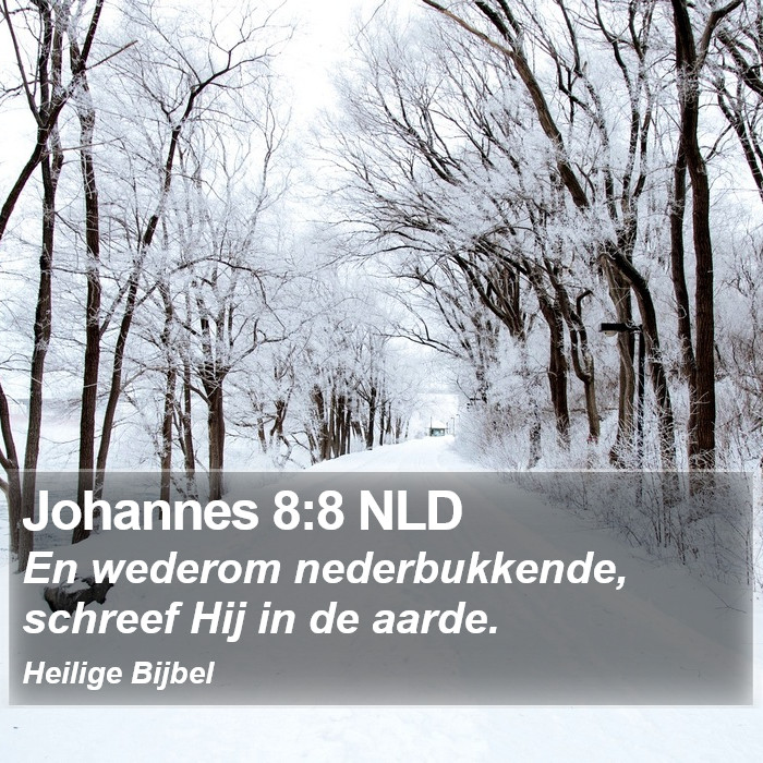 Johannes 8:8 NLD Bible Study