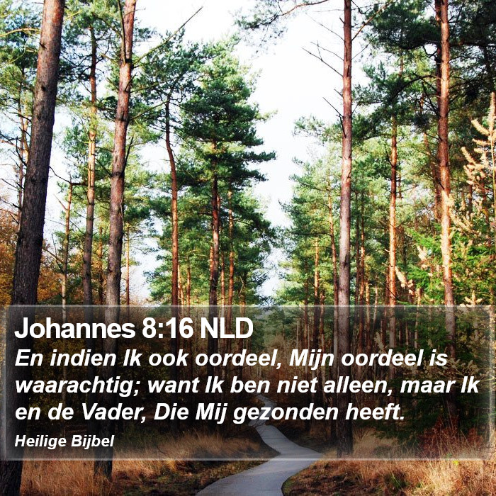 Johannes 8:16 NLD Bible Study