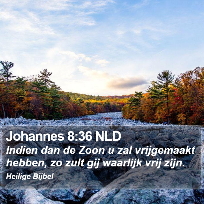 Johannes 8:36 NLD Bible Study