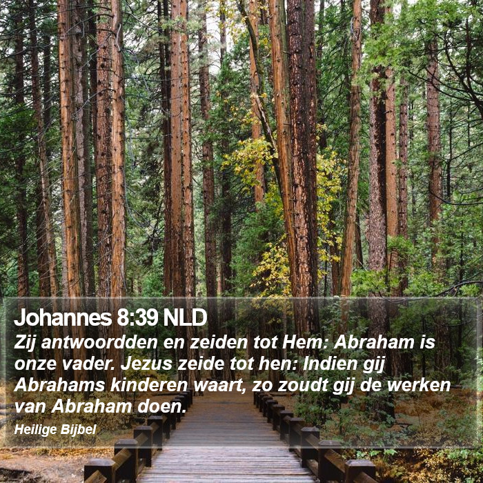 Johannes 8:39 NLD Bible Study