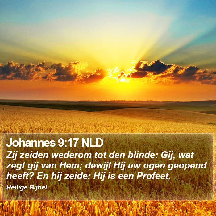 Johannes 9:17 NLD Bible Study