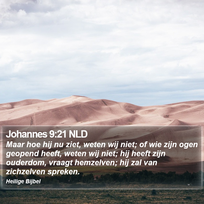 Johannes 9:21 NLD Bible Study