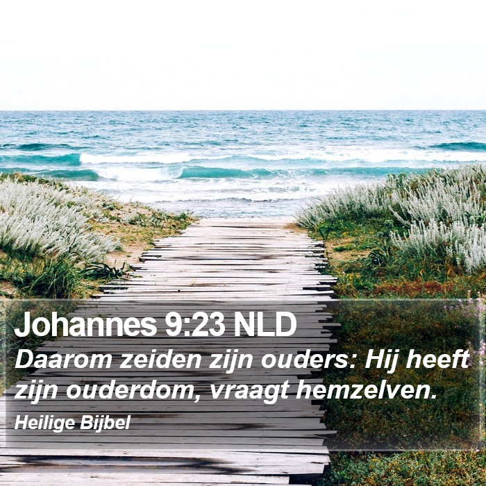 Johannes 9:23 NLD Bible Study