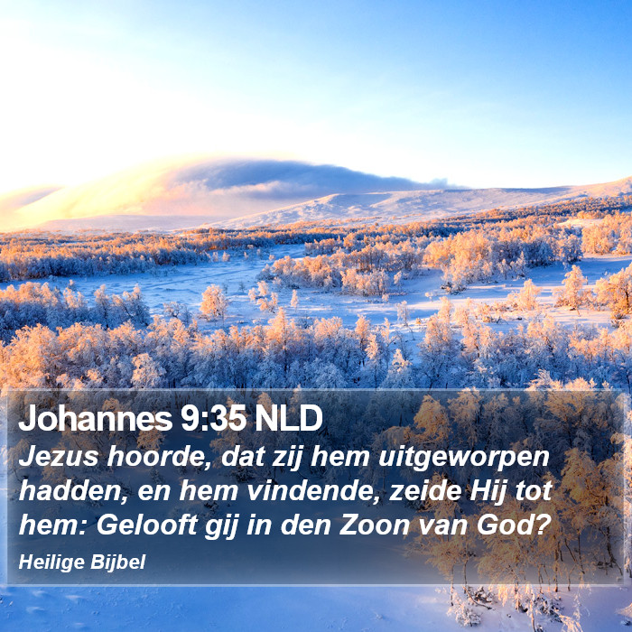 Johannes 9:35 NLD Bible Study